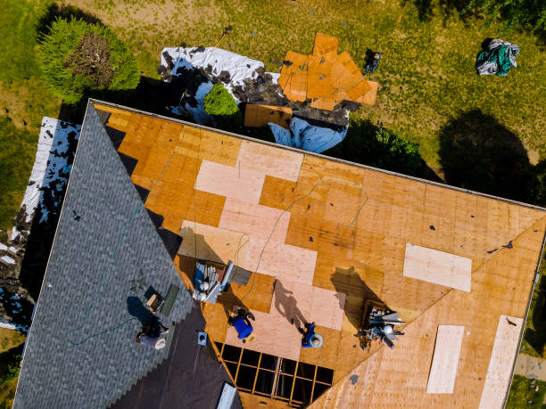Best Roof Replacement Cost  in Elkins, WV